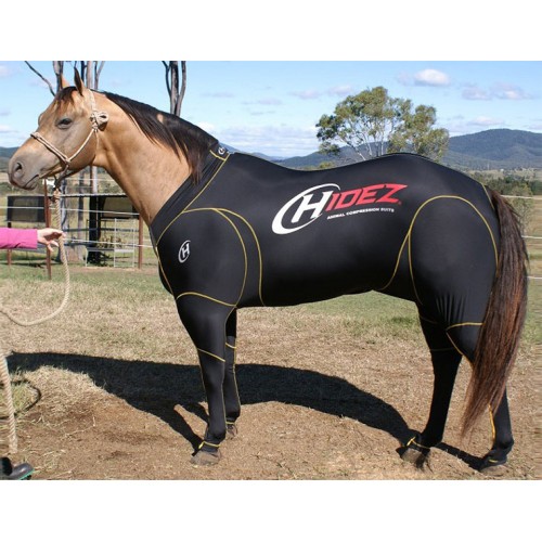 hidez blk qh 1-500x500.jpg